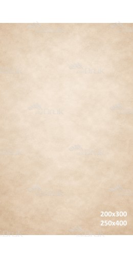 Tło fotograficzne „Jasna beżowa tekstura – delikatne tło uniwersalne” | 4099